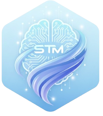 Shadow TechMinds Solutions